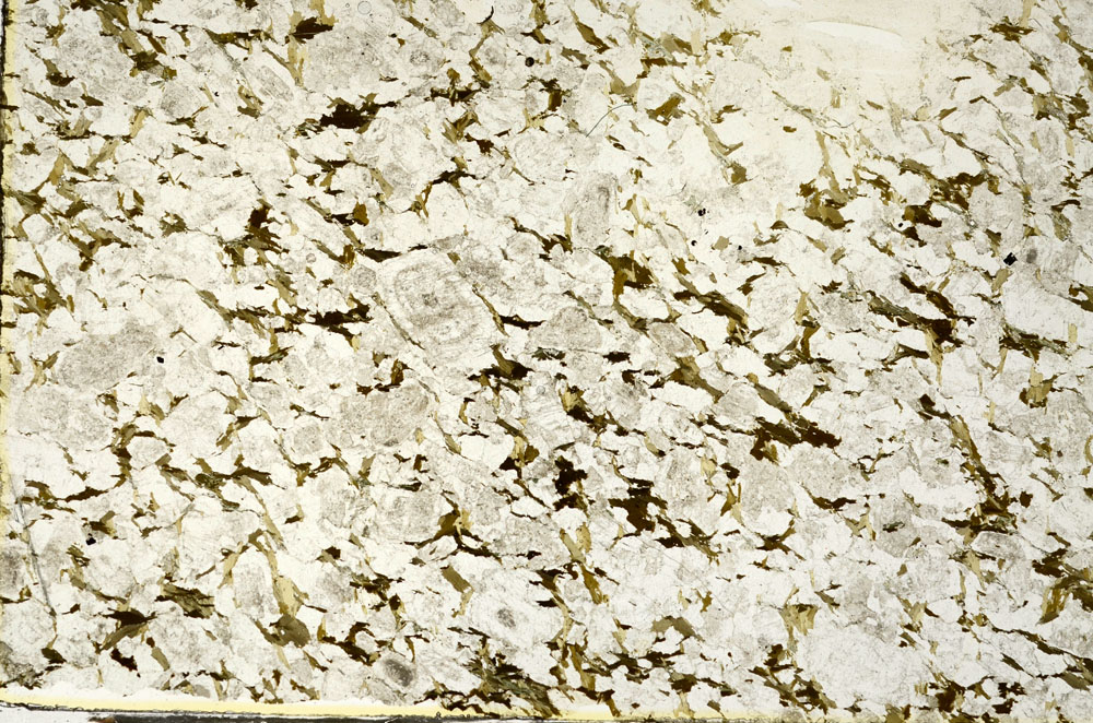 Plane Polarized, S88209