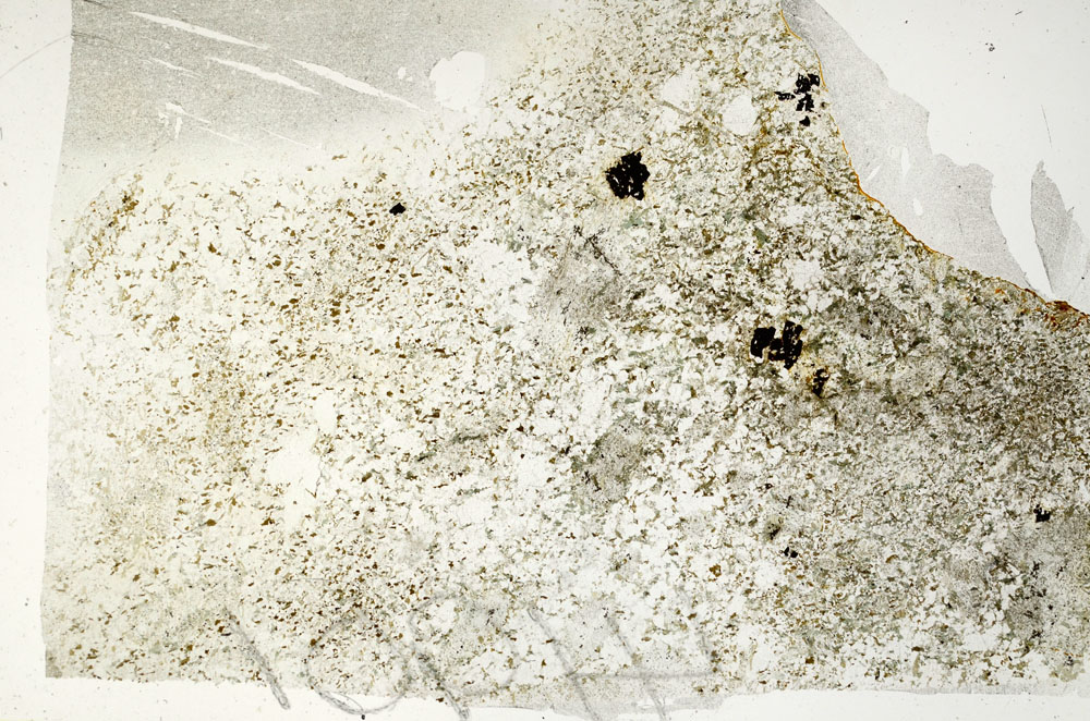 Plane Polarized, S88225