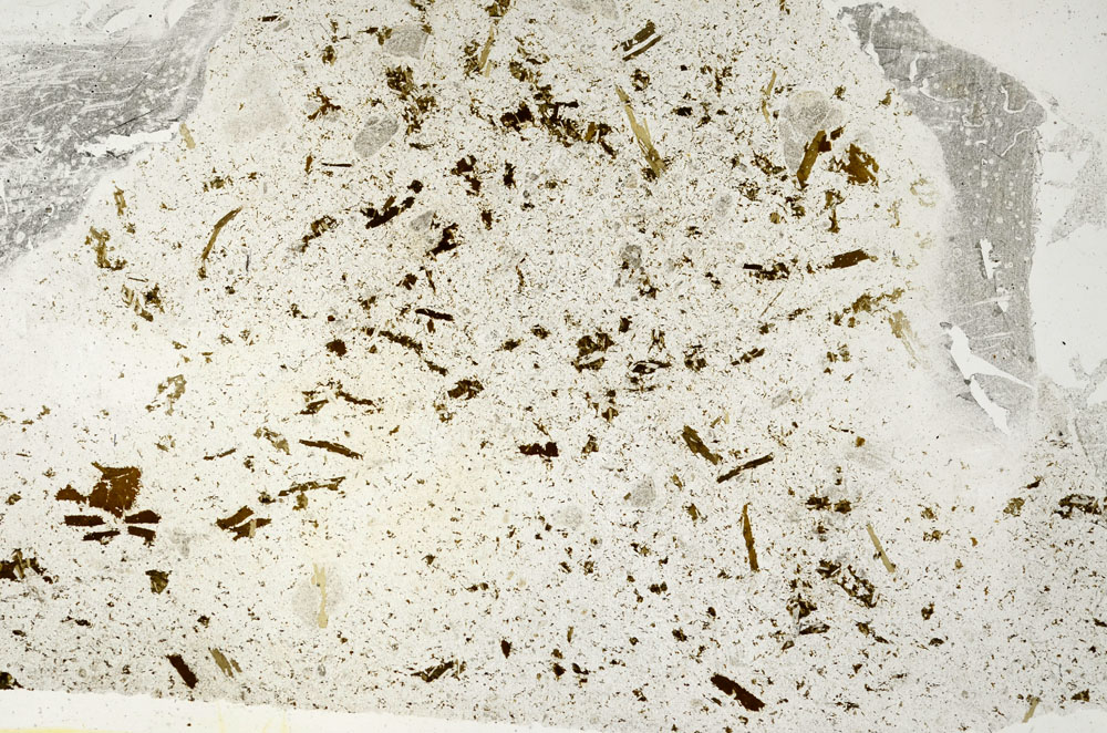 Plane Polarized, S88235