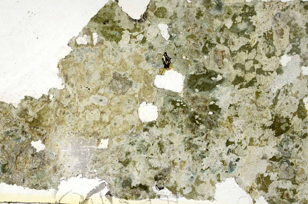 Plane Polarized, S88241