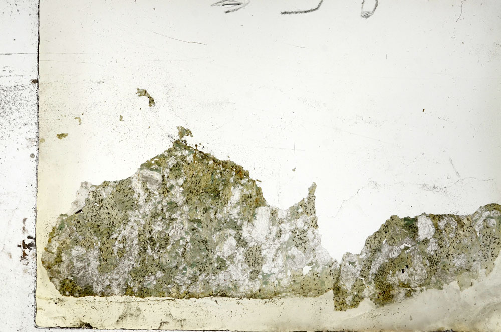 Plane Polarized, S88245