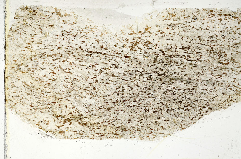 Plane Polarized, S88259