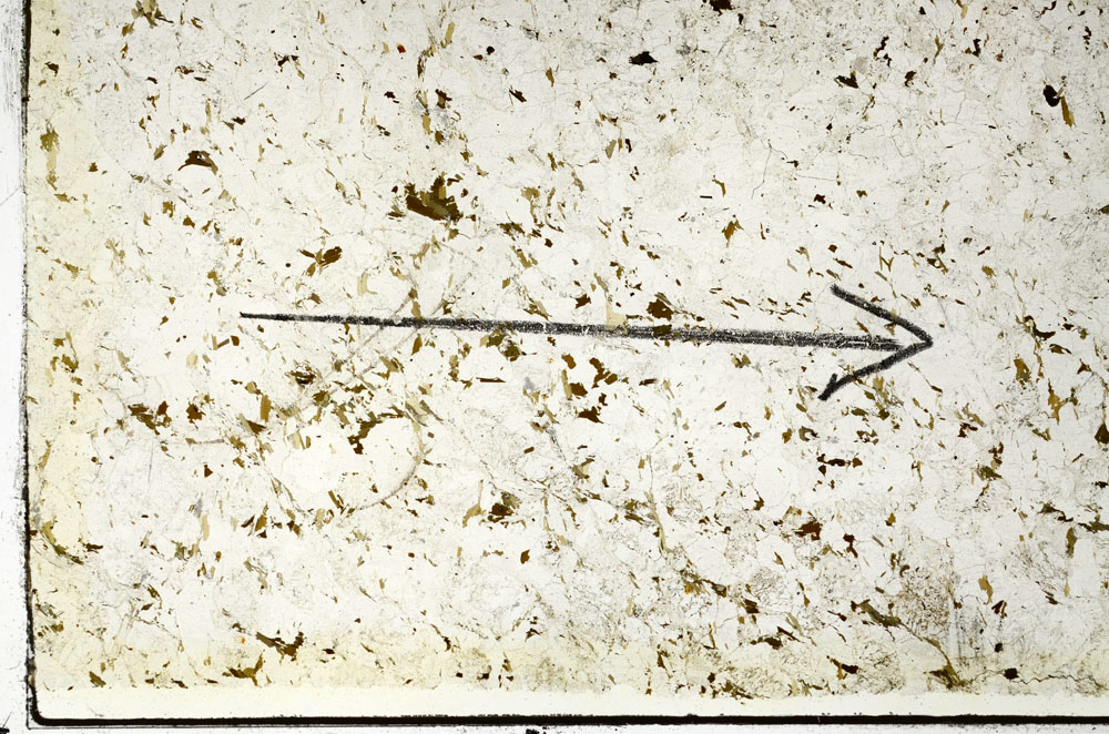 Plane Polarized, S88260
