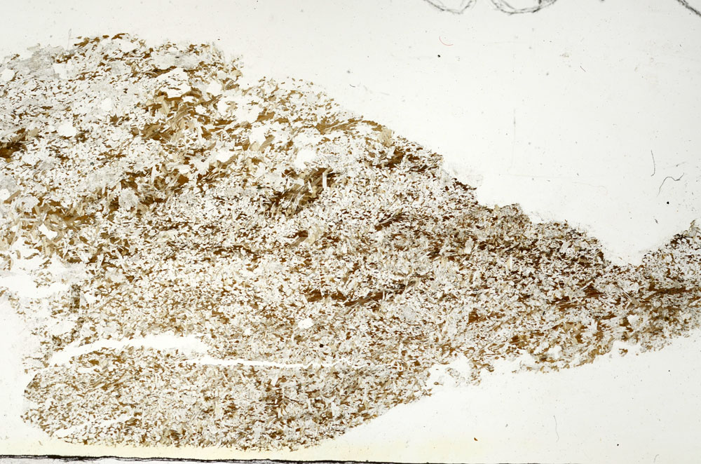 Plane Polarized, S88265
