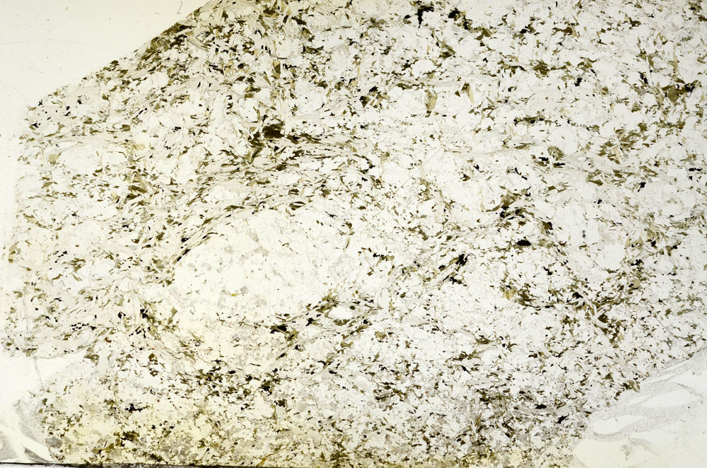 Plane Polarized, S88267