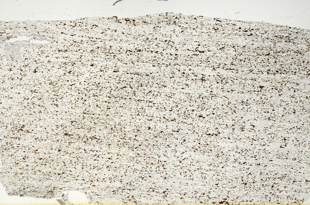 Plane Polarized, S88268