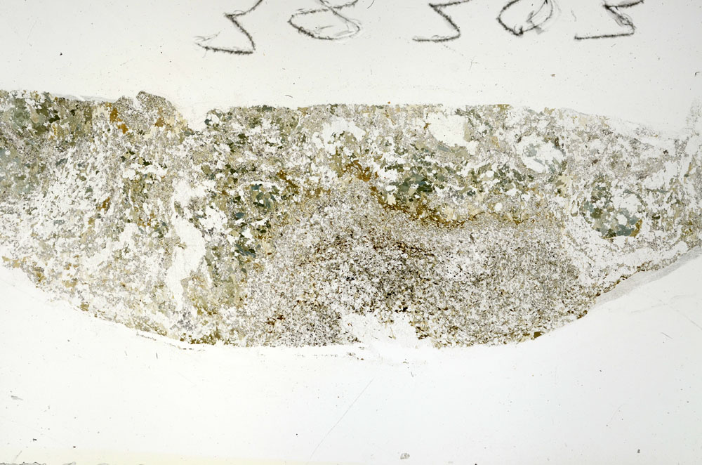 Plane Polarized, S88271