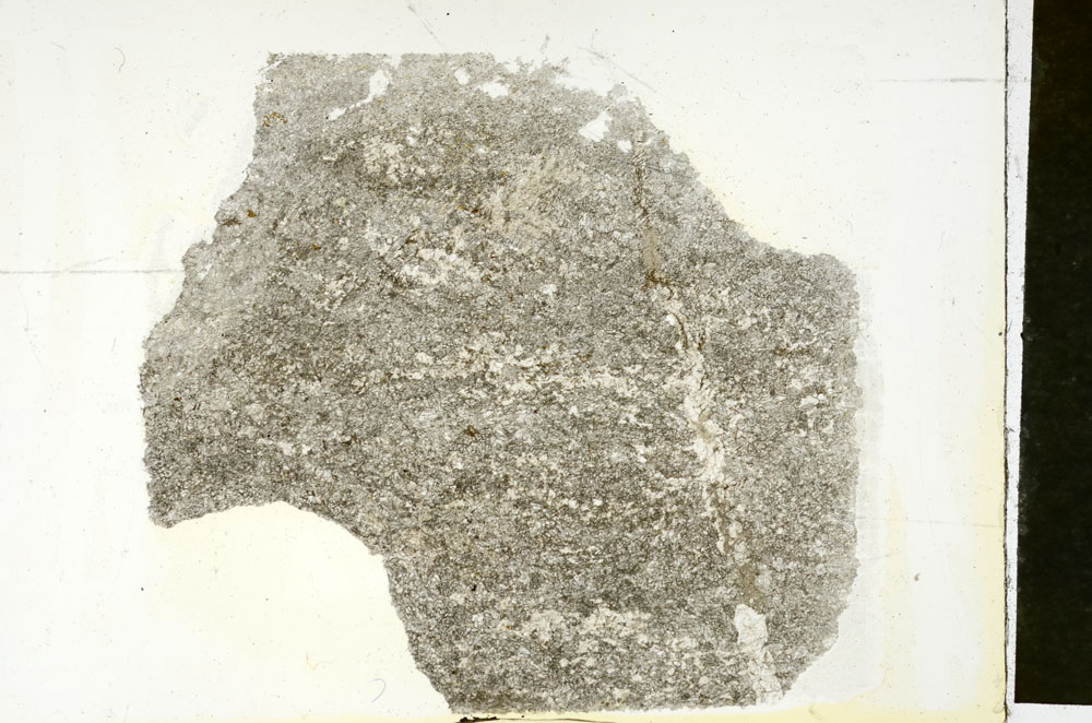 Plane Polarized, S88278
