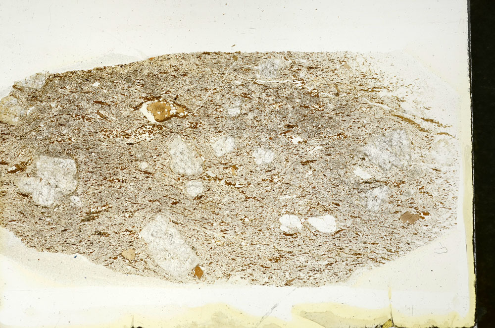 Plane Polarized, S88282