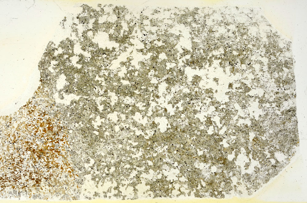 Plane Polarized, S88283