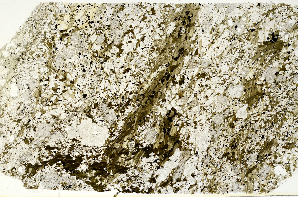 Plane Polarized, S88293