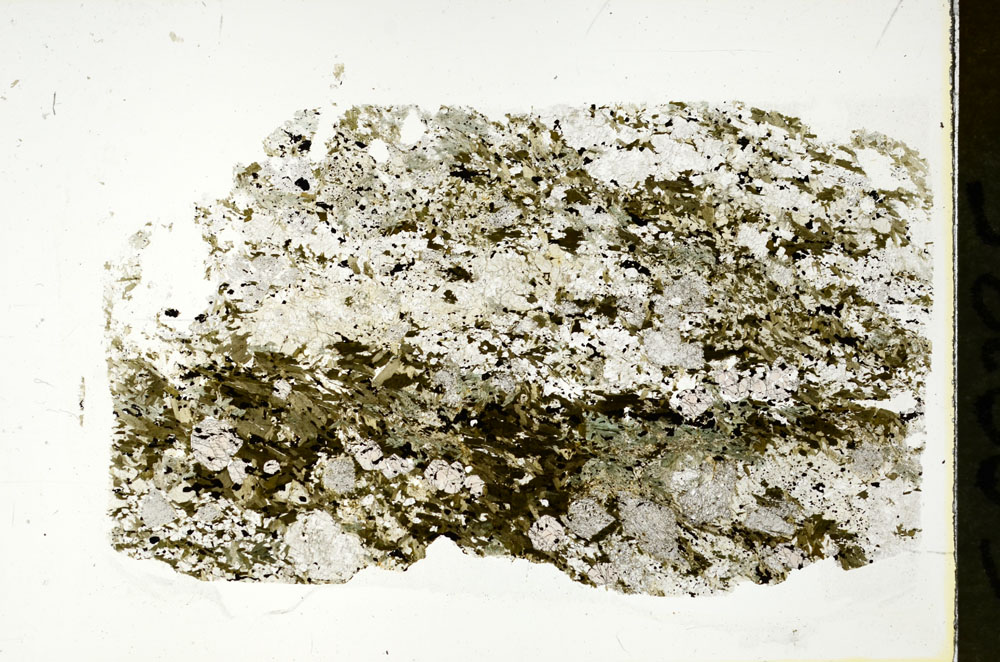Plane Polarized, S88295