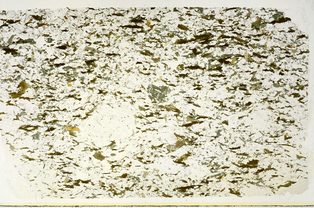 Plane Polarized, S88302