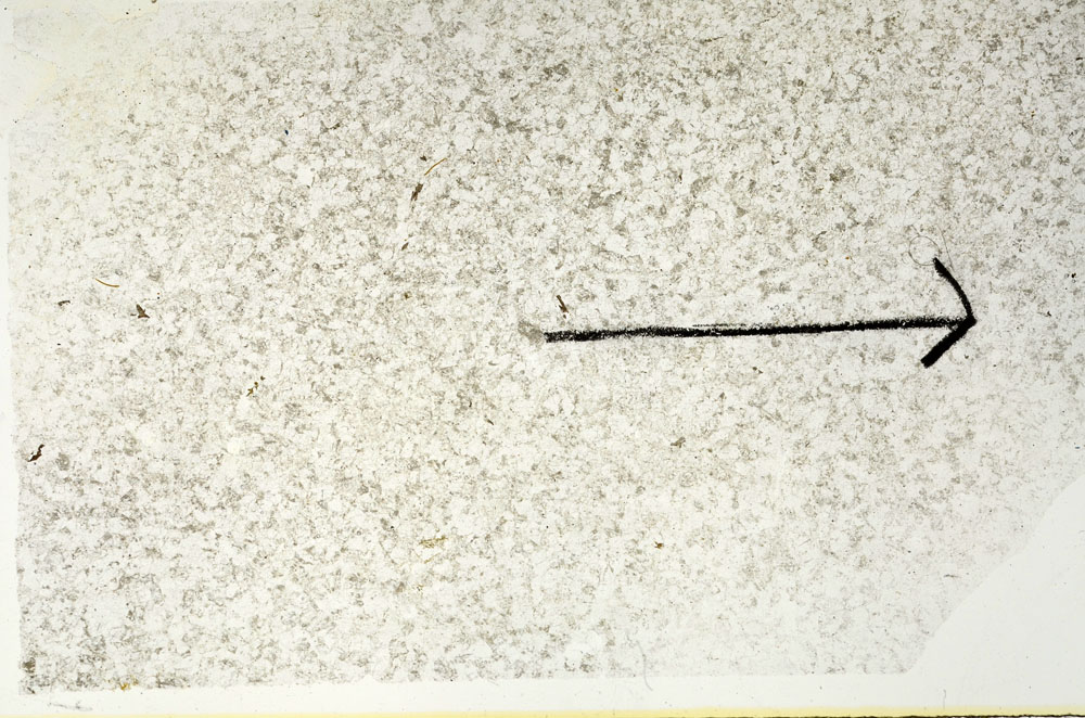 Plane Polarized, S88308