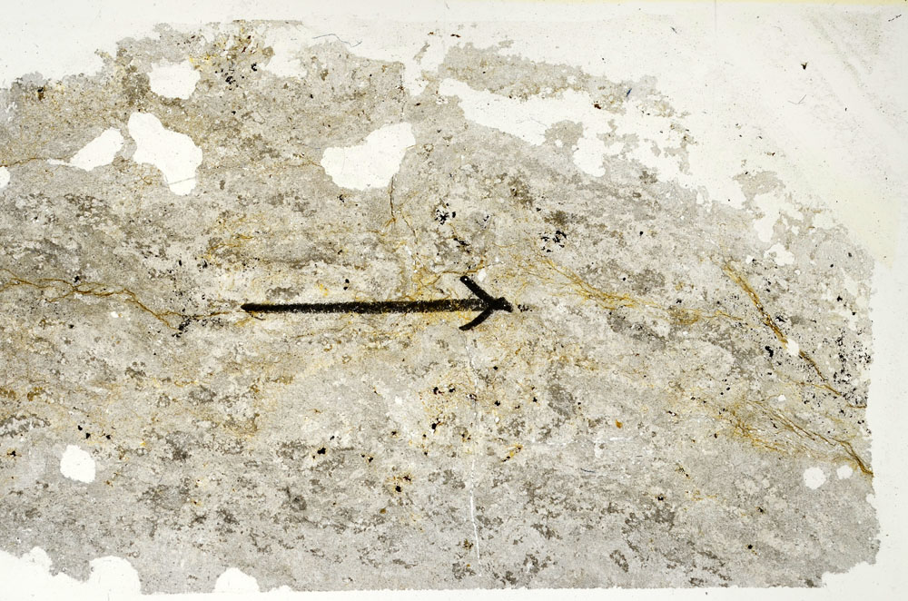 Plane Polarized, S88311