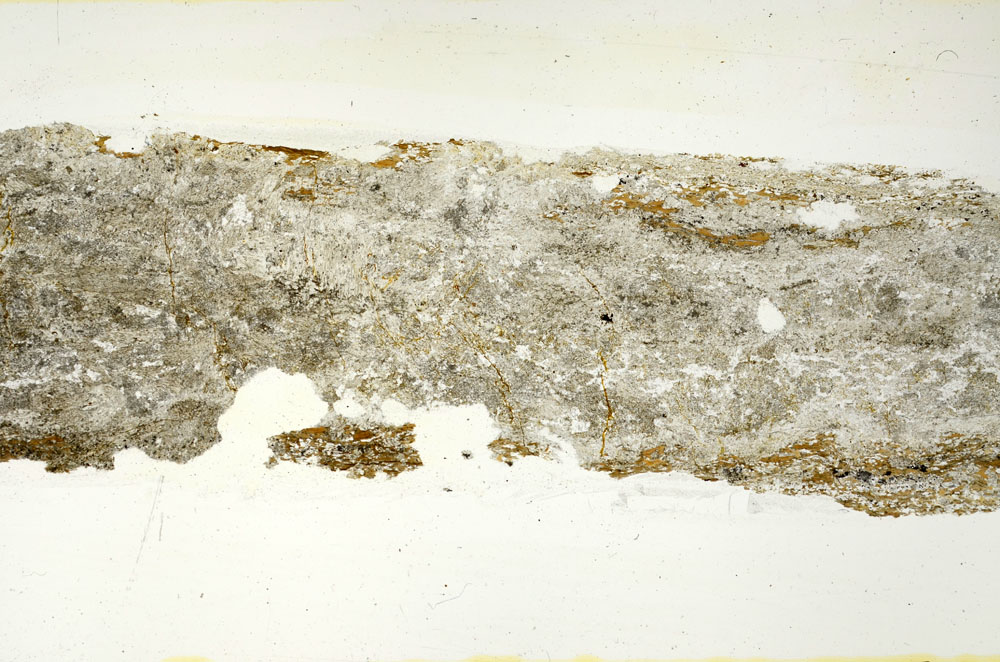 Plane Polarized, S88312