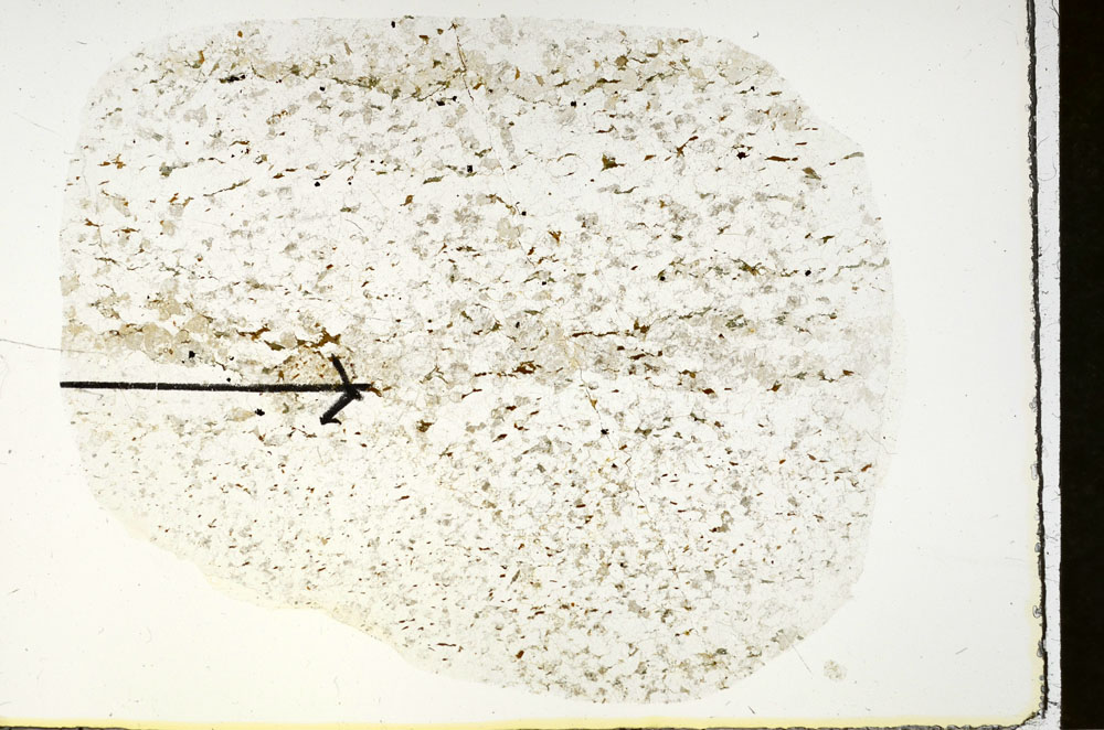 Plane Polarized, S88313