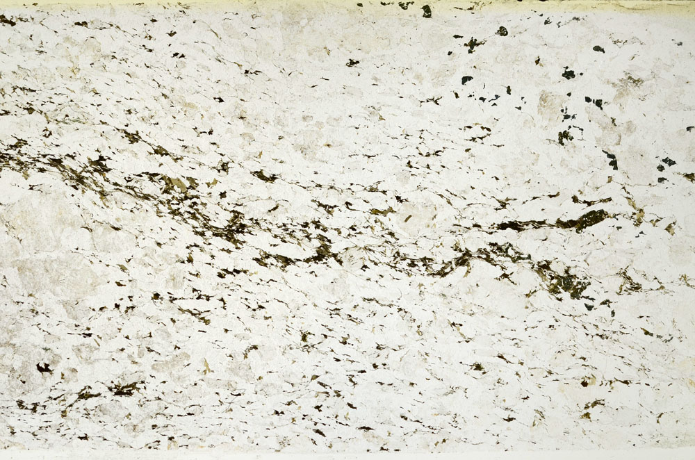 Plane Polarized, S88321