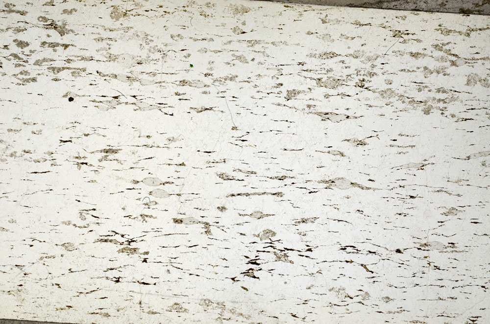 Plane Polarized, S88331