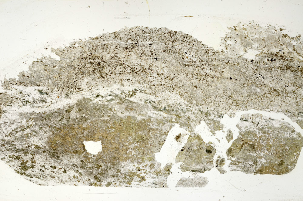 Plane Polarized, S88335