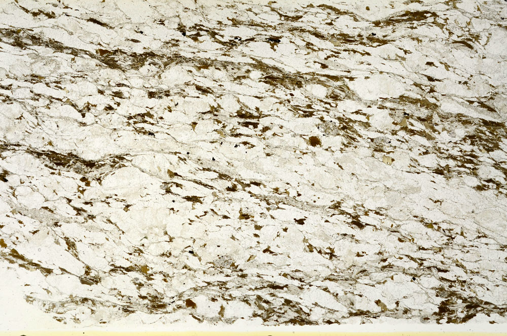 Plane Polarized, S88341