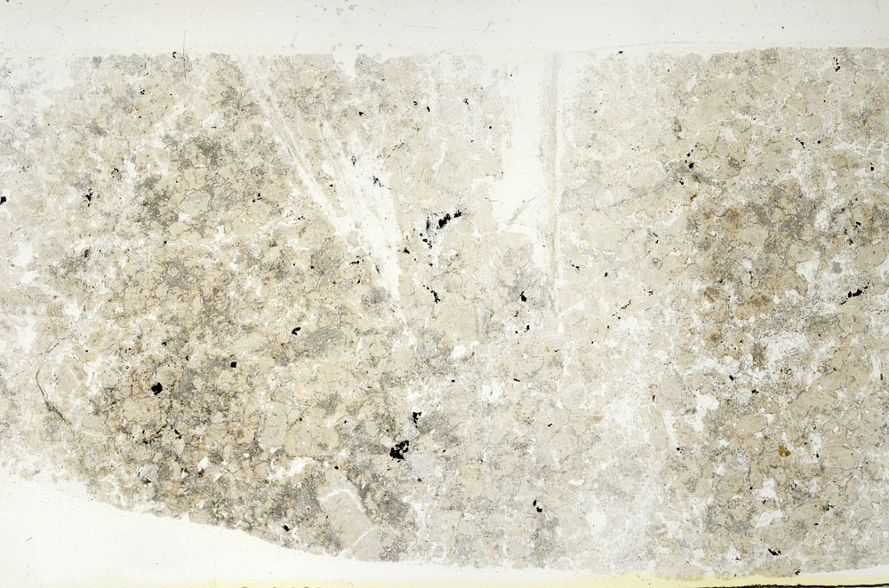 Plane Polarized, S88343