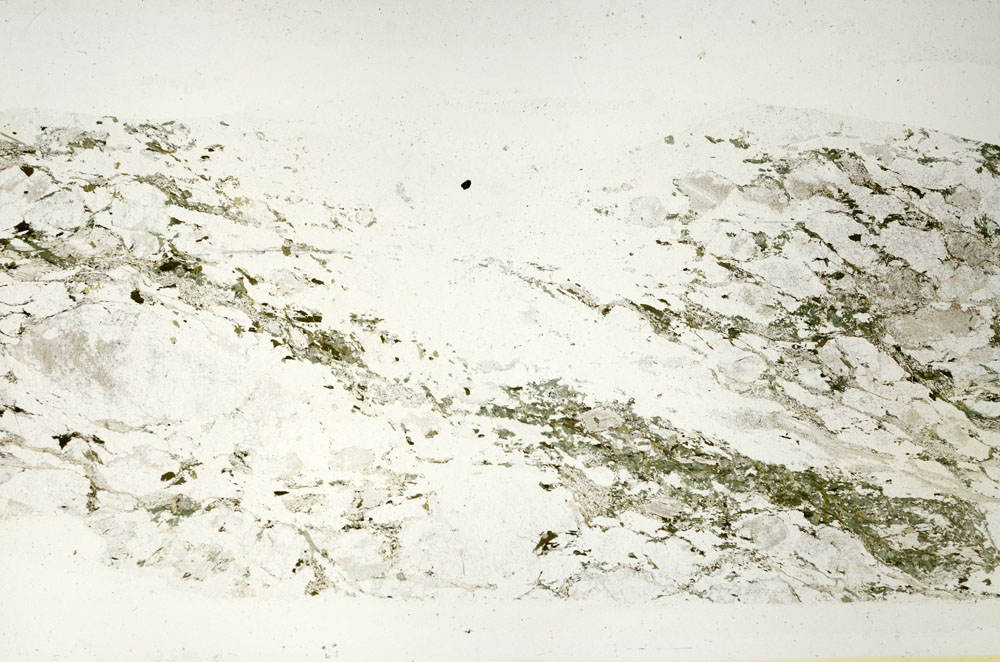 Plane Polarized, S88349