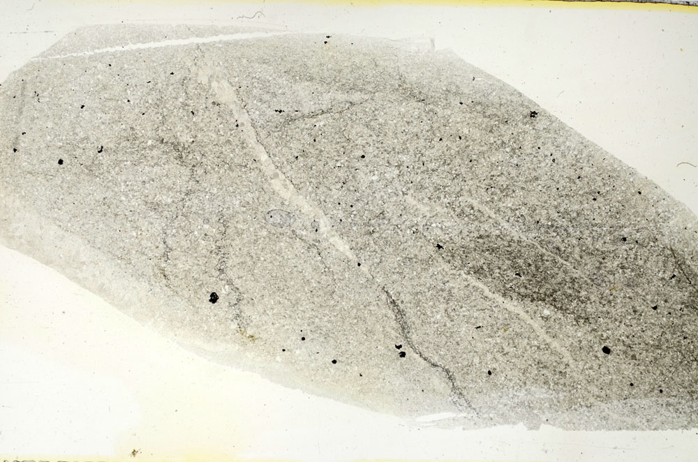 Plane Polarized, S88352
