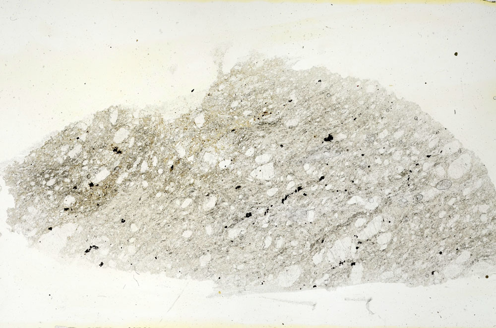 Plane Polarized, S88354