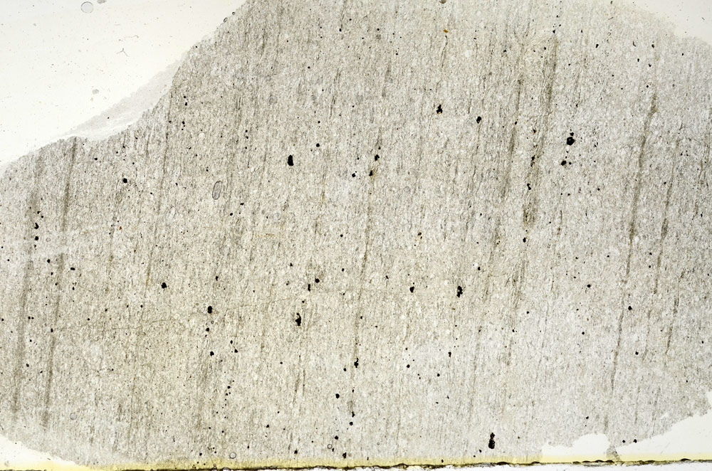 Plane Polarized, S88355