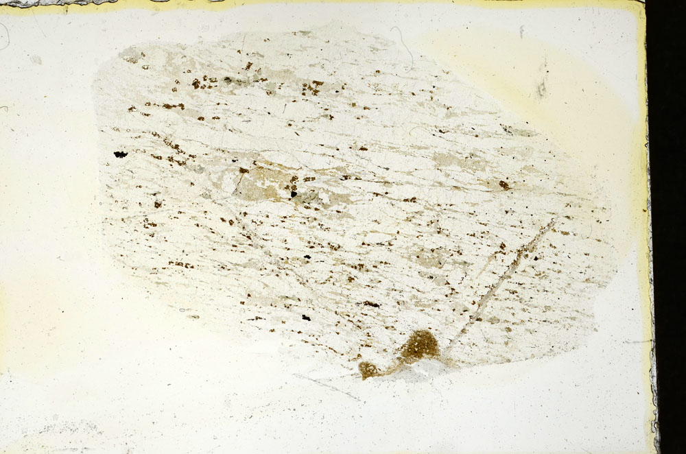 Plane Polarized, S88356