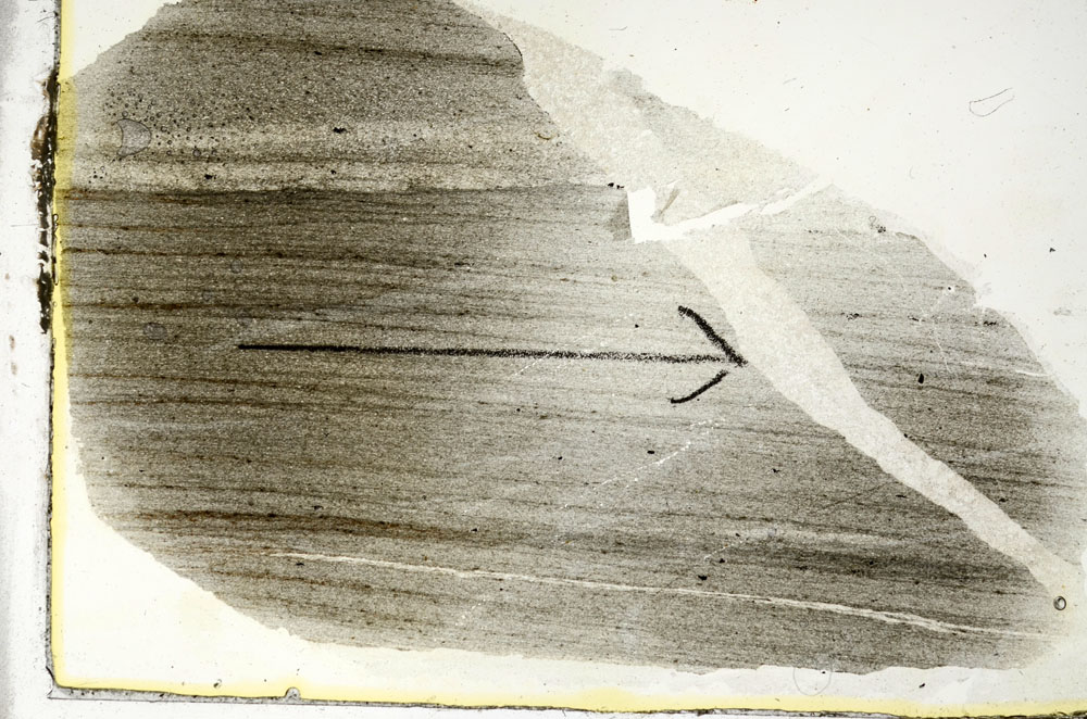 Plane Polarized, S88358