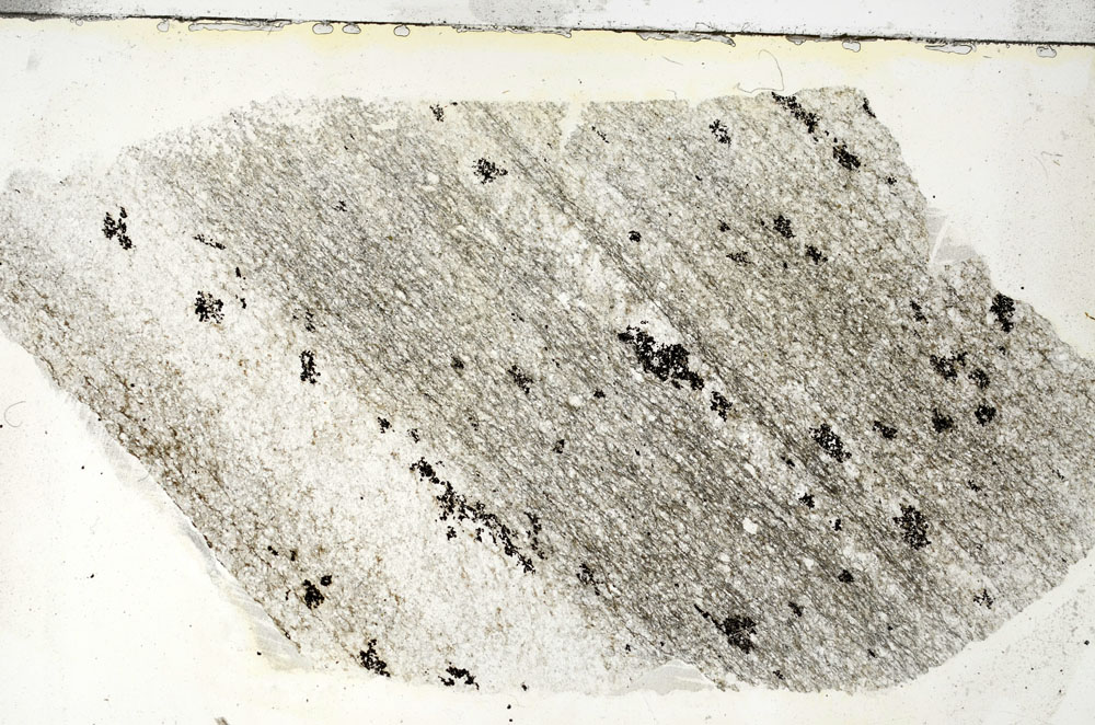 Plane Polarized, S88359
