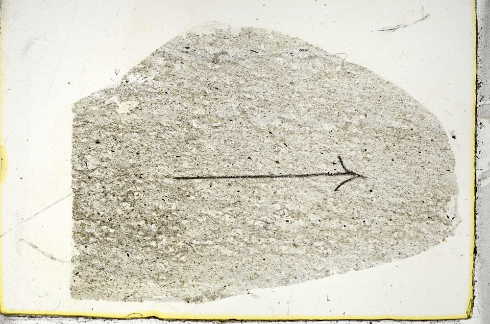 Plane Polarized, S88362