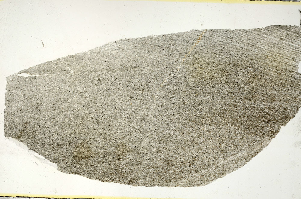 Plane Polarized, S88363
