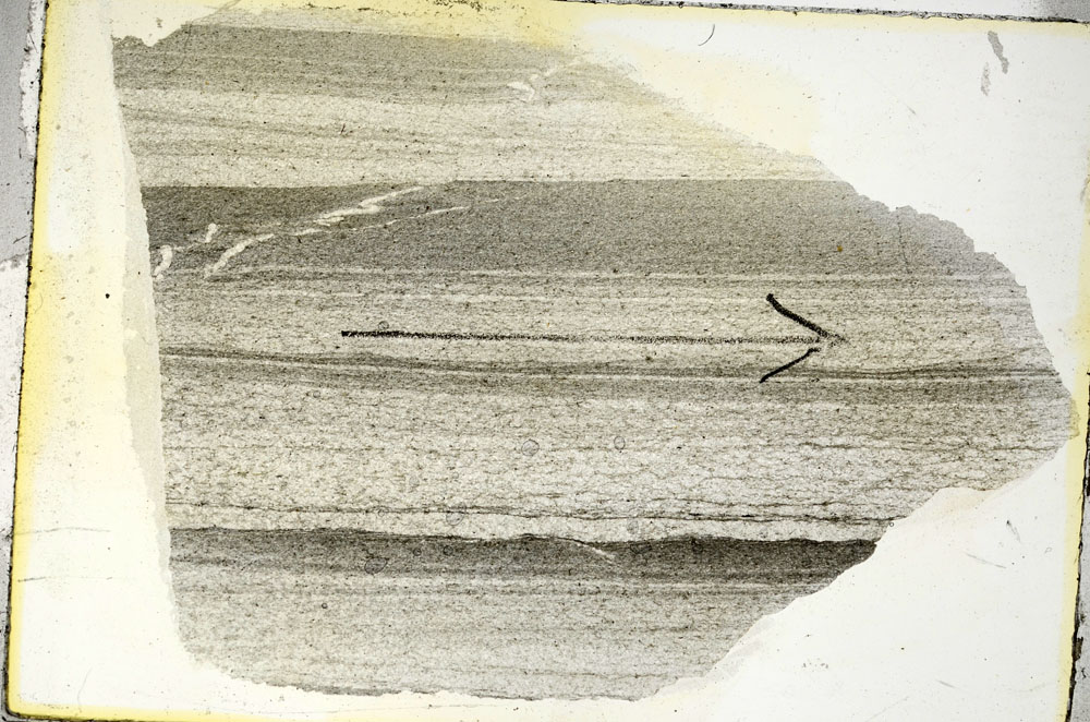 Plane Polarized, S88364