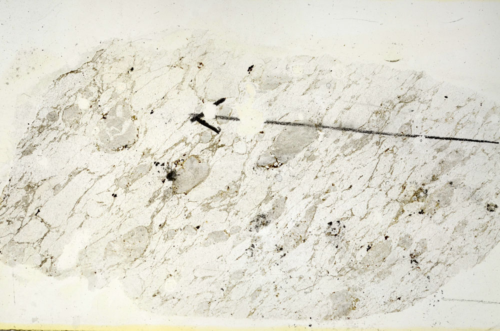 Plane Polarized, S88367