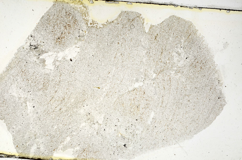 Plane Polarized, S88369