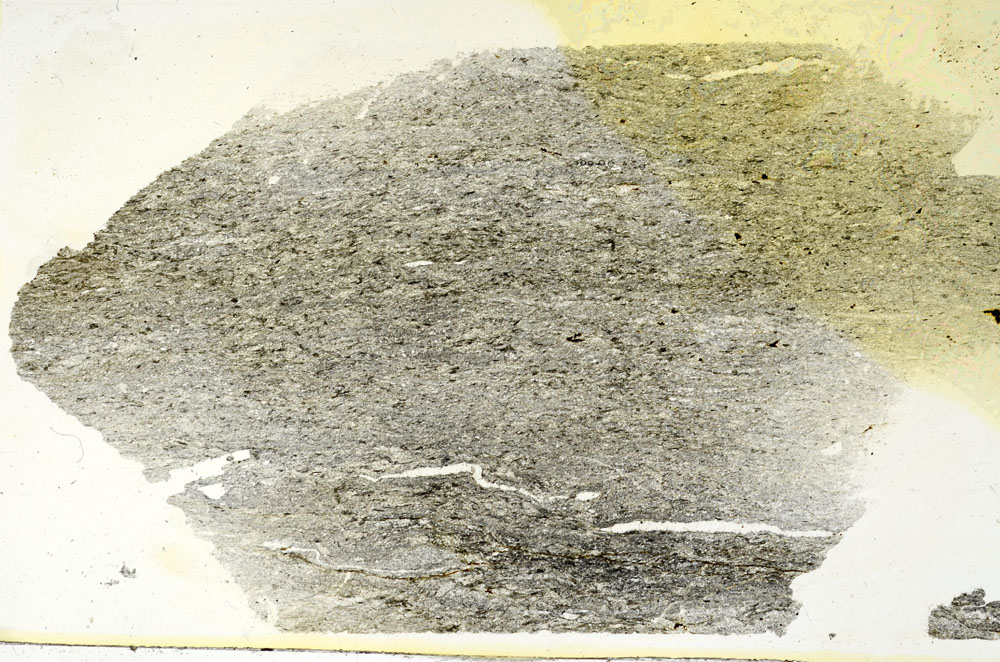 Plane Polarized, S88371