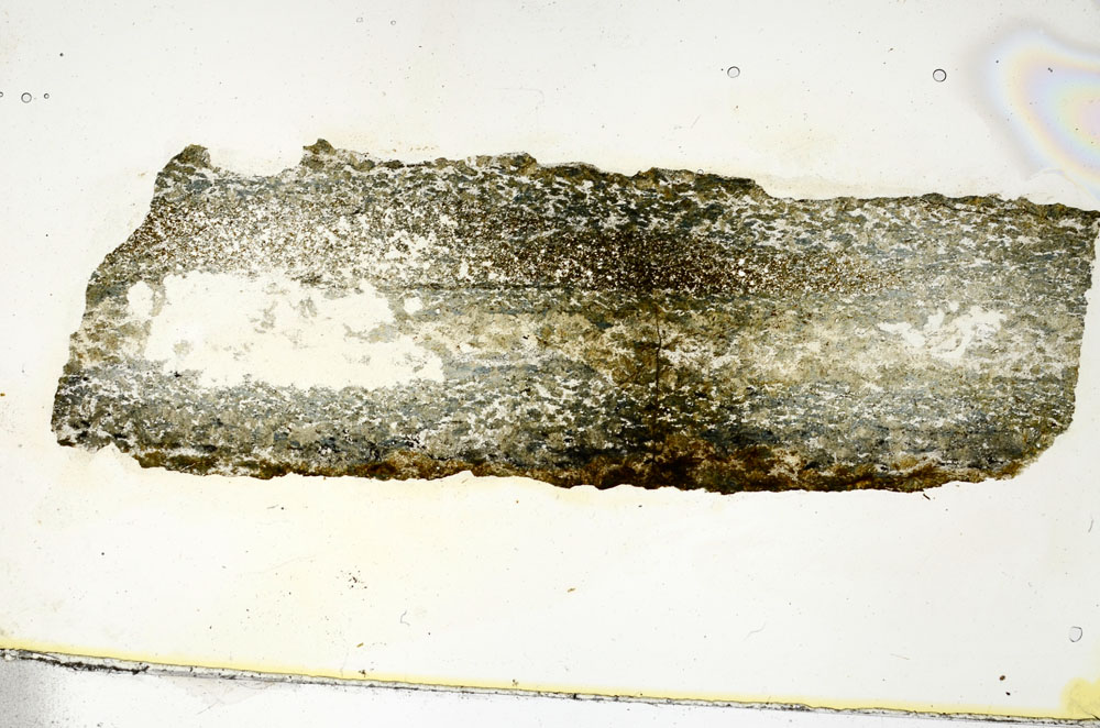 Plane Polarized, S88372