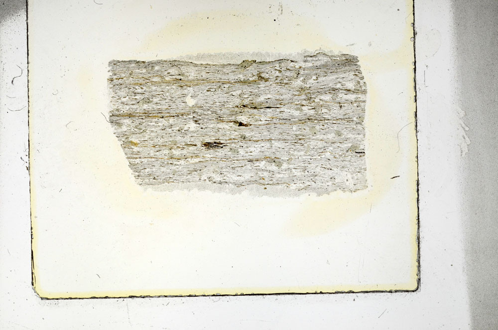 Plane Polarized, S88382