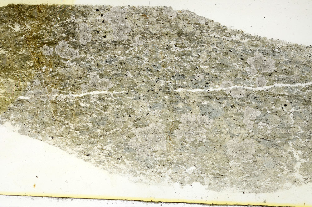 Plane Polarized, S88383