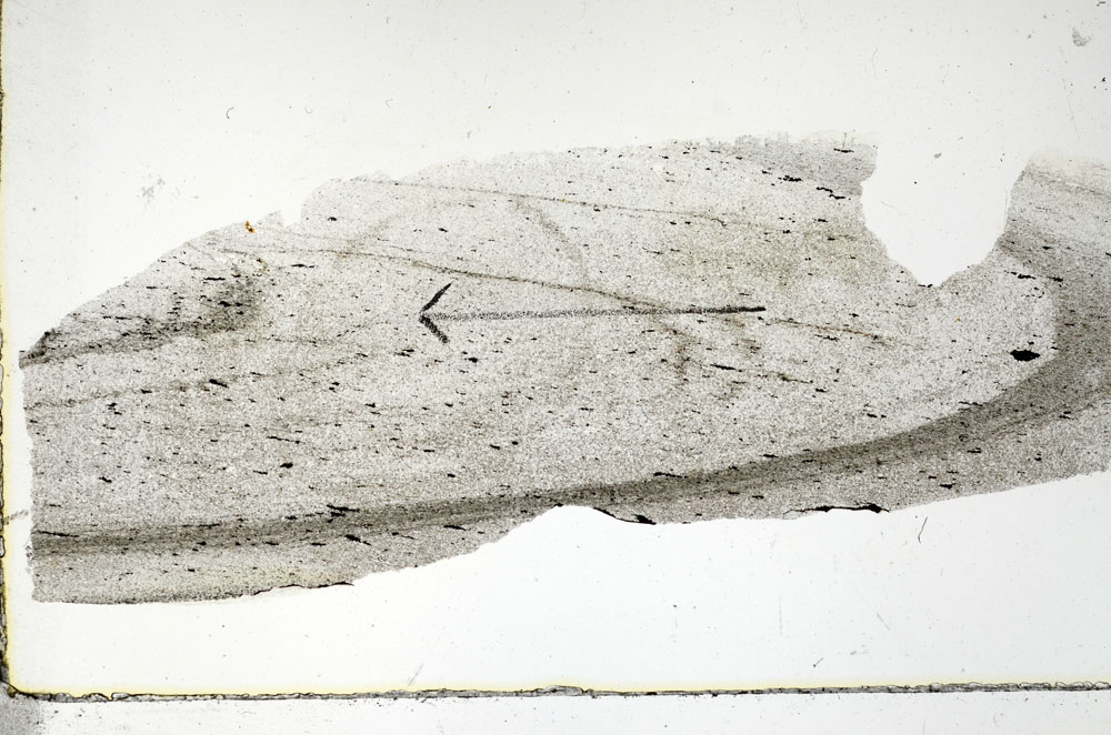 Plane Polarized, S88385