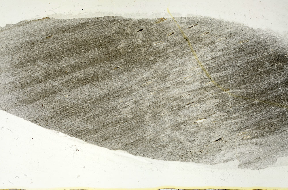 Plane Polarized, S88388