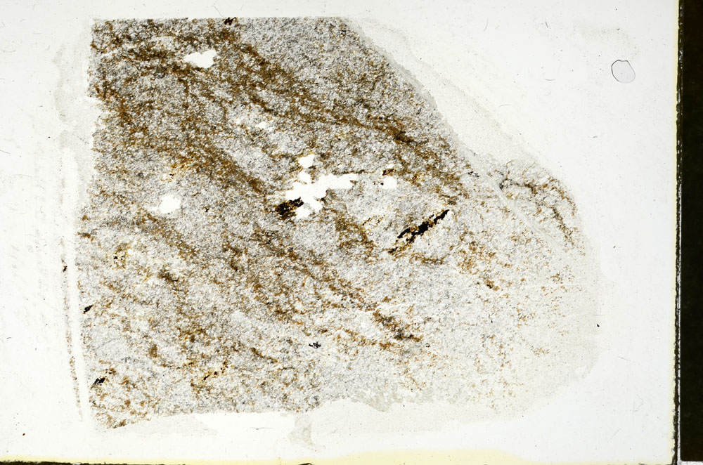 Plane Polarized, S88389