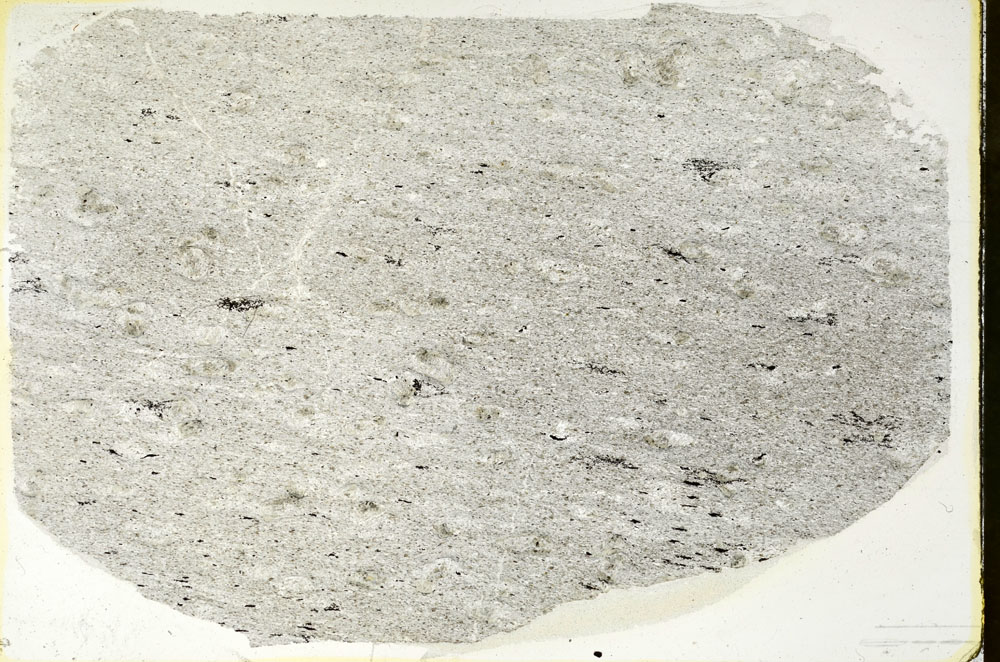 Plane Polarized, S88392