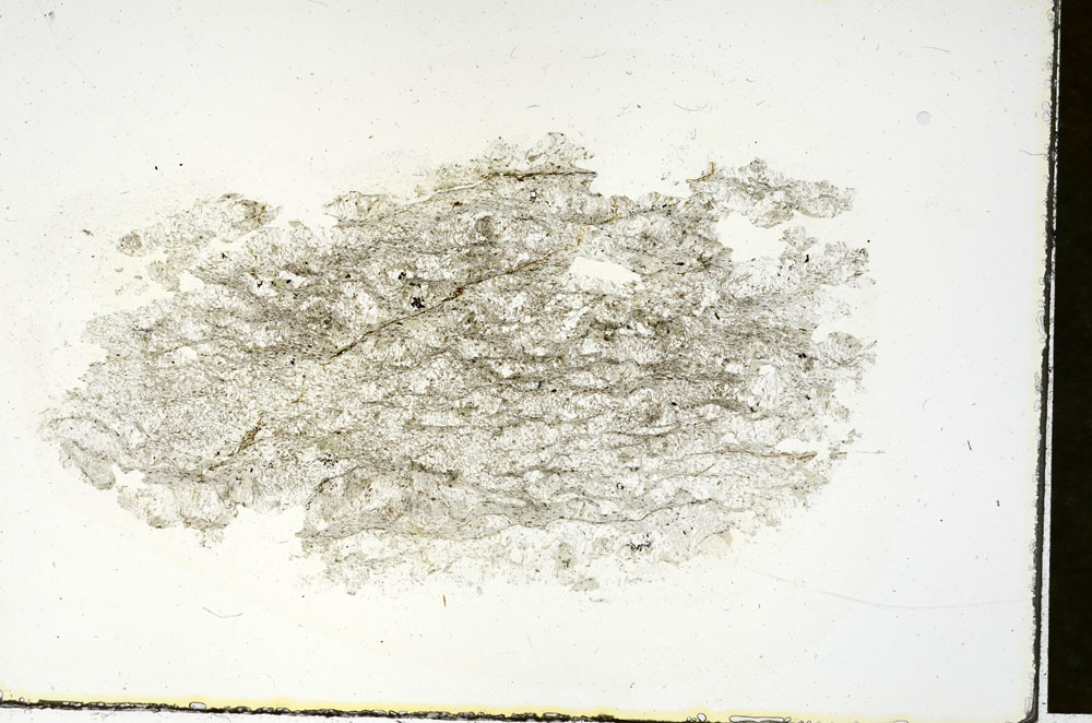 Plane Polarized, S88394