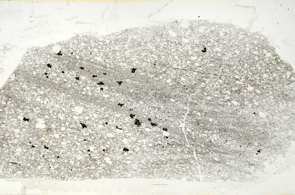 Plane Polarized, S88396