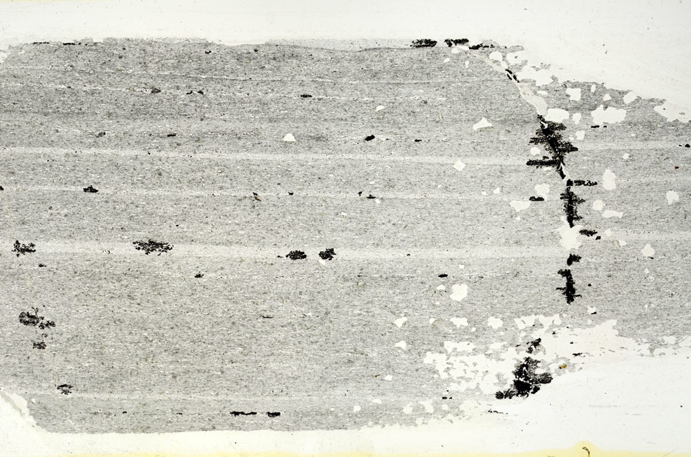 Plane Polarized, S88397