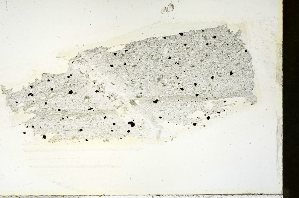 Plane Polarized, S88398